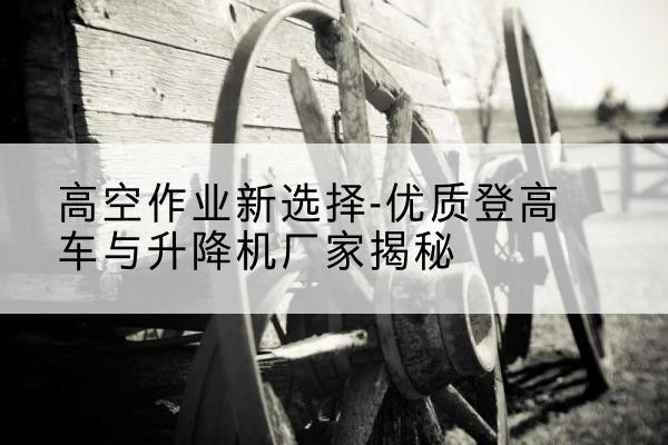 永善登高车厂家-高空作业新选择-优质登高车与升降机厂家揭秘