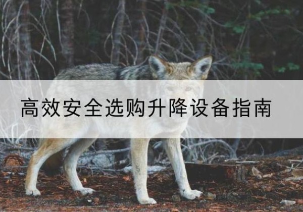 永善升降货梯厂家推荐-*安全选购升降设备指南