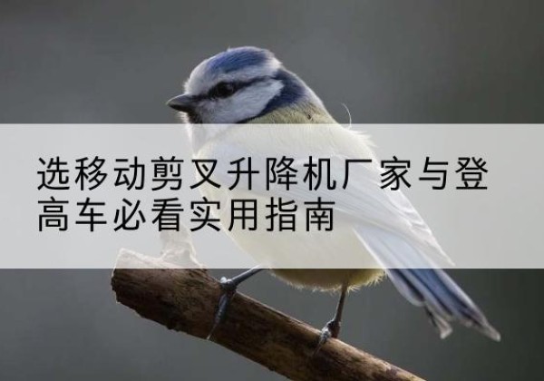 永善电动升降机厂家-选移动剪叉升降机厂家与登高车必看实用指南