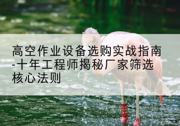 永善剪叉式升降机厂家-高空作业设备选购实战指南-十年工程师揭秘厂家筛选核心法则
