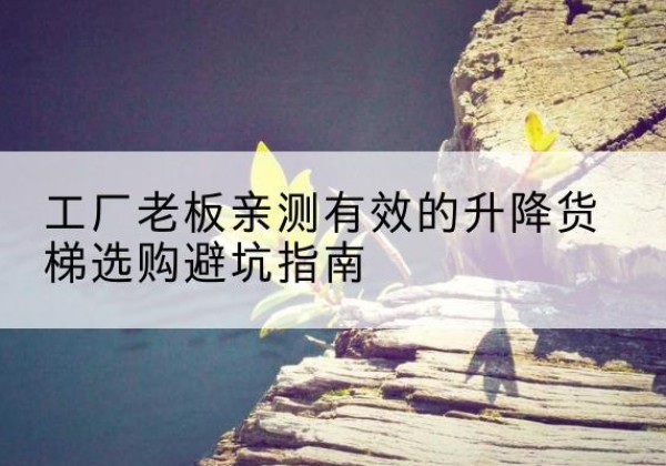 永善升降货梯怎么选-工厂老板亲测有效的升降货梯选购避坑指南